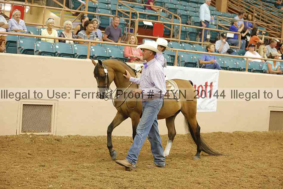 Proof 14yn_20144