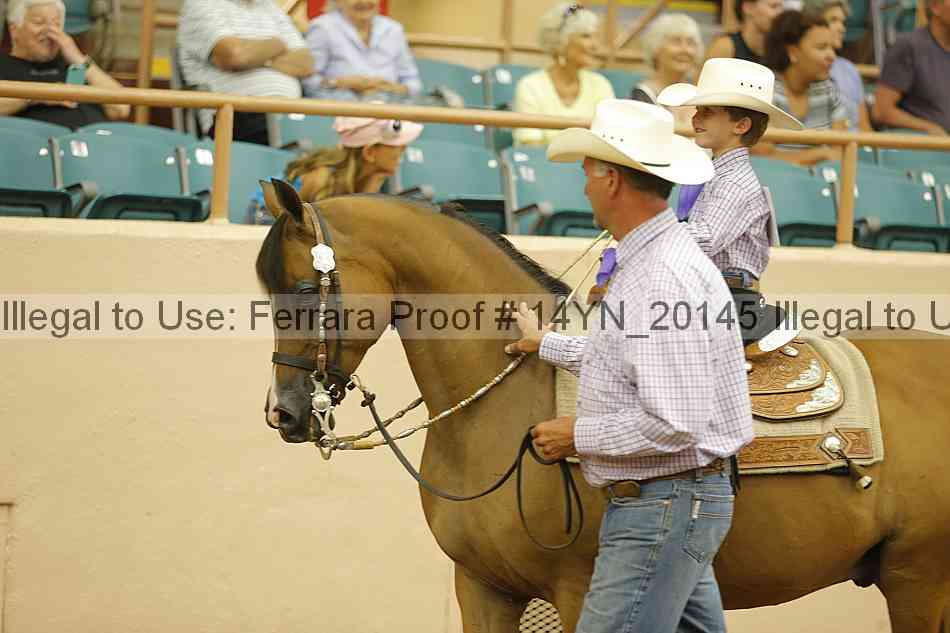 Proof 14yn_20145