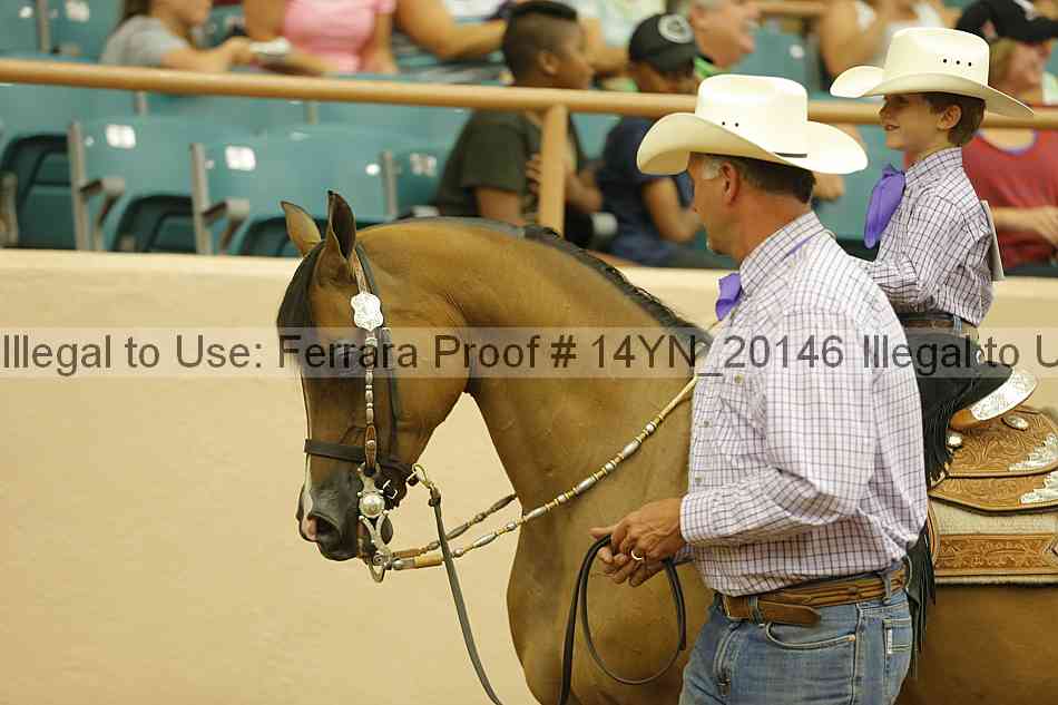 Proof 14yn_20146