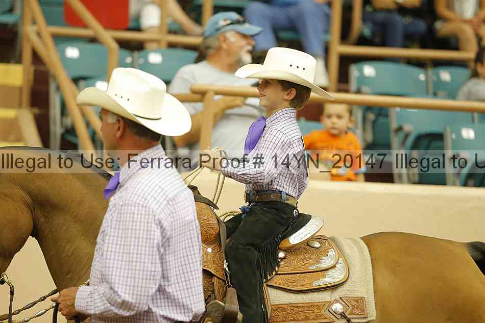 Proof 14yn_20147