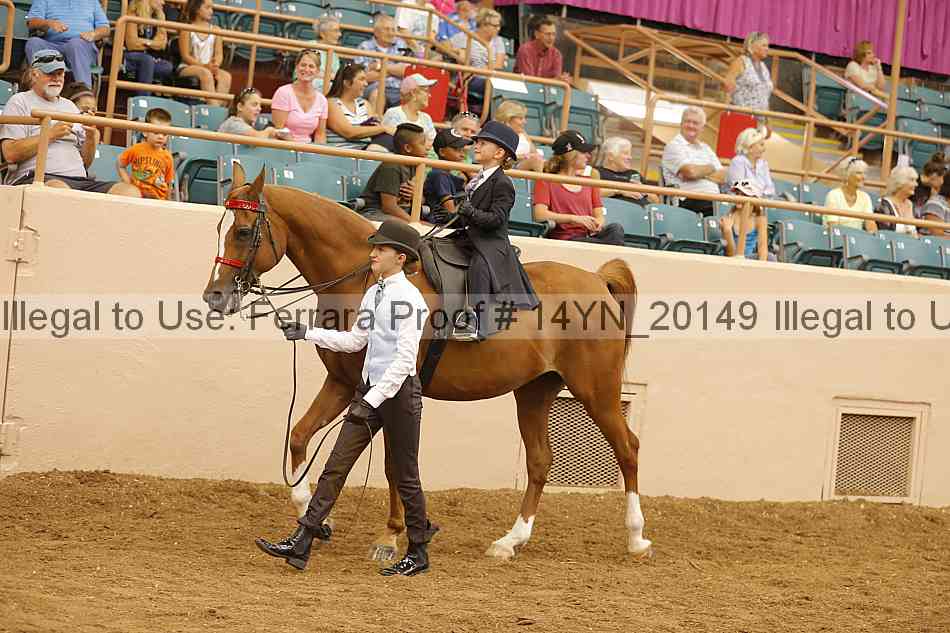 Proof 14yn_20149