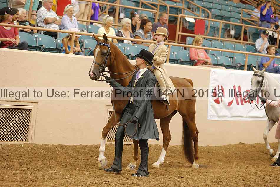 Proof 14yn_20158
