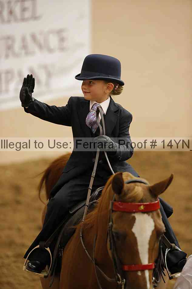 Proof 14yn_20204