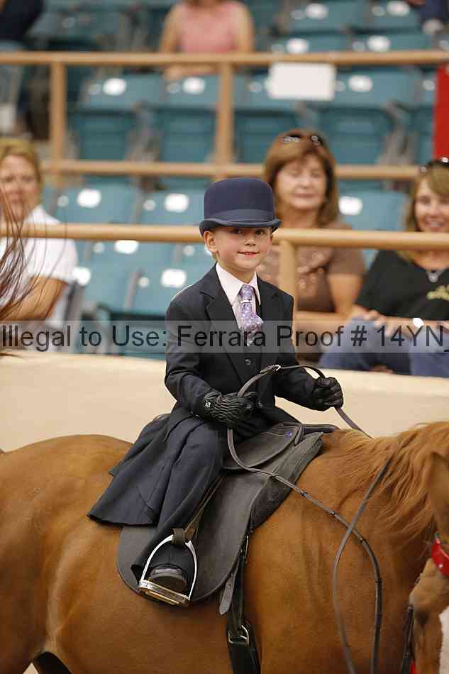 Proof 14yn_20239