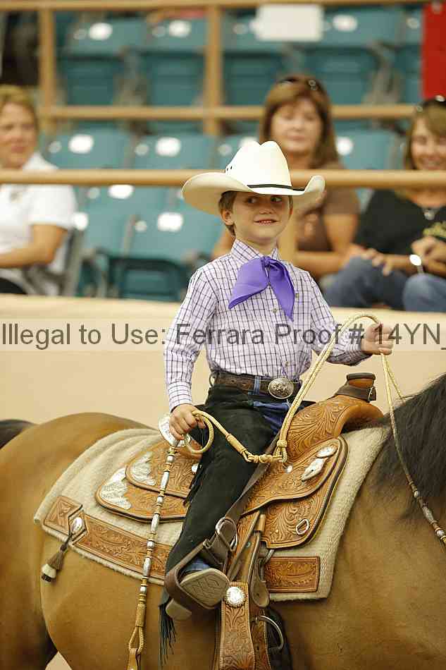 Proof 14yn_20244
