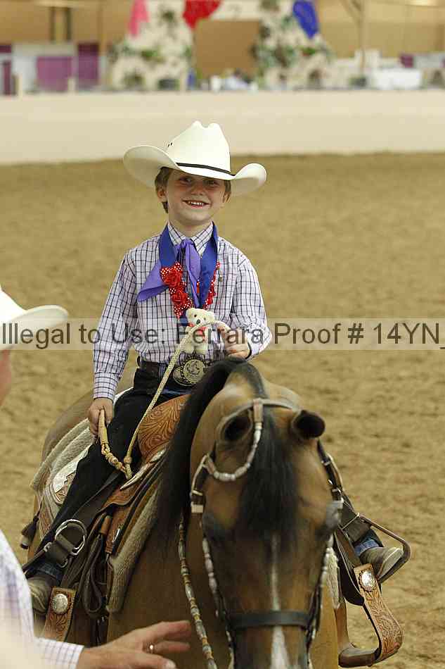 Proof 14yn_20248