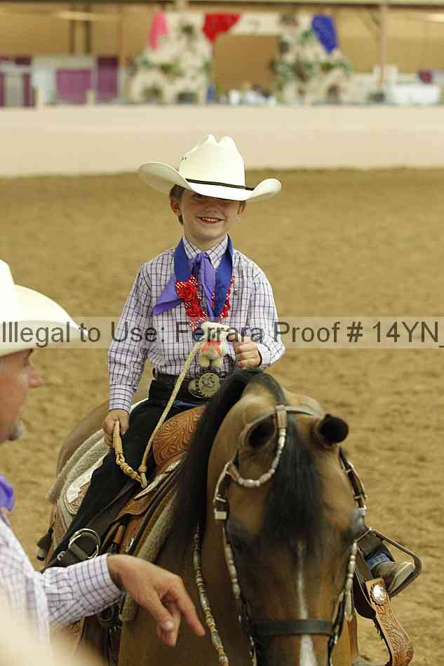 Proof 14yn_20249