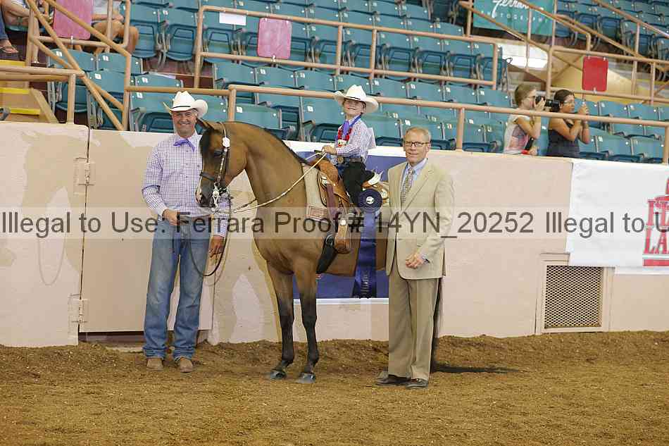 Proof 14yn_20252