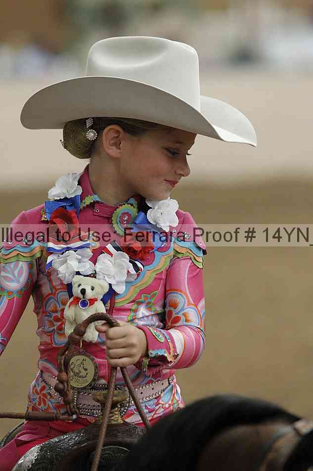 Proof 14yn_20258
