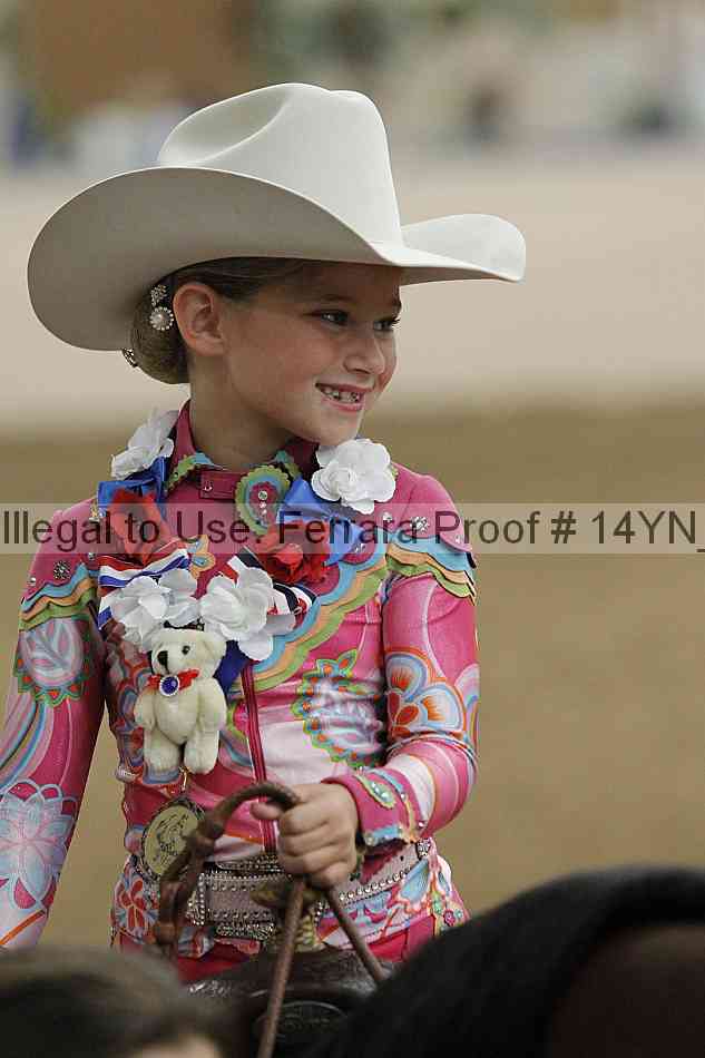Proof 14yn_20262