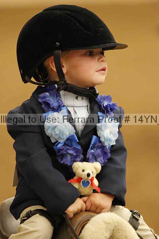 Proof 14yn_20272