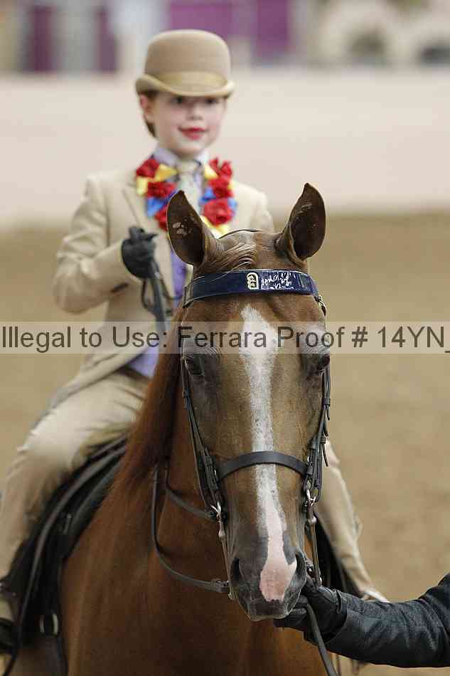 Proof 14yn_20298