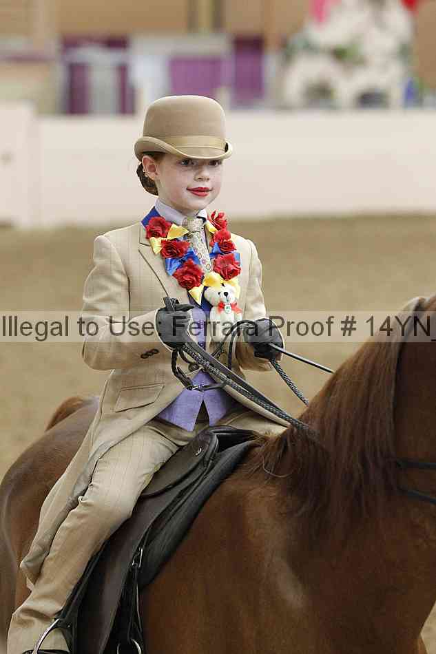 Proof 14yn_20299