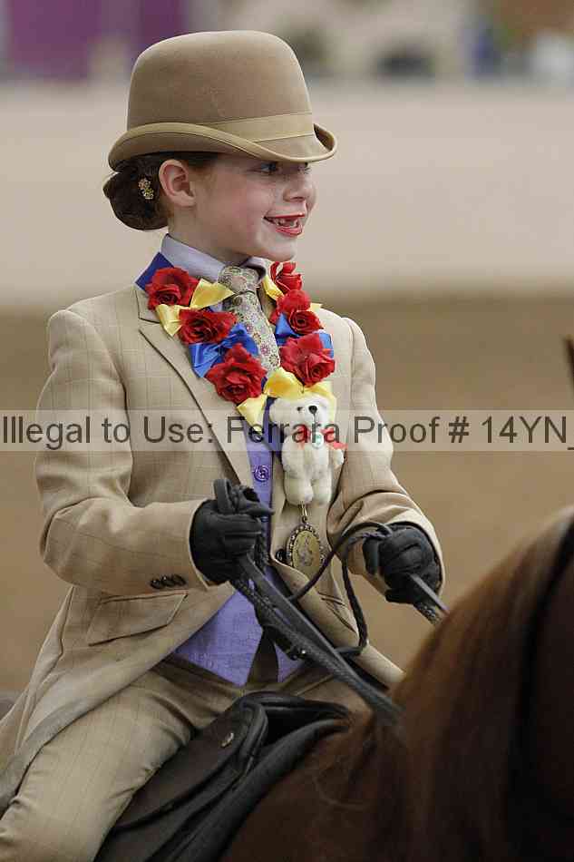 Proof 14yn_20305