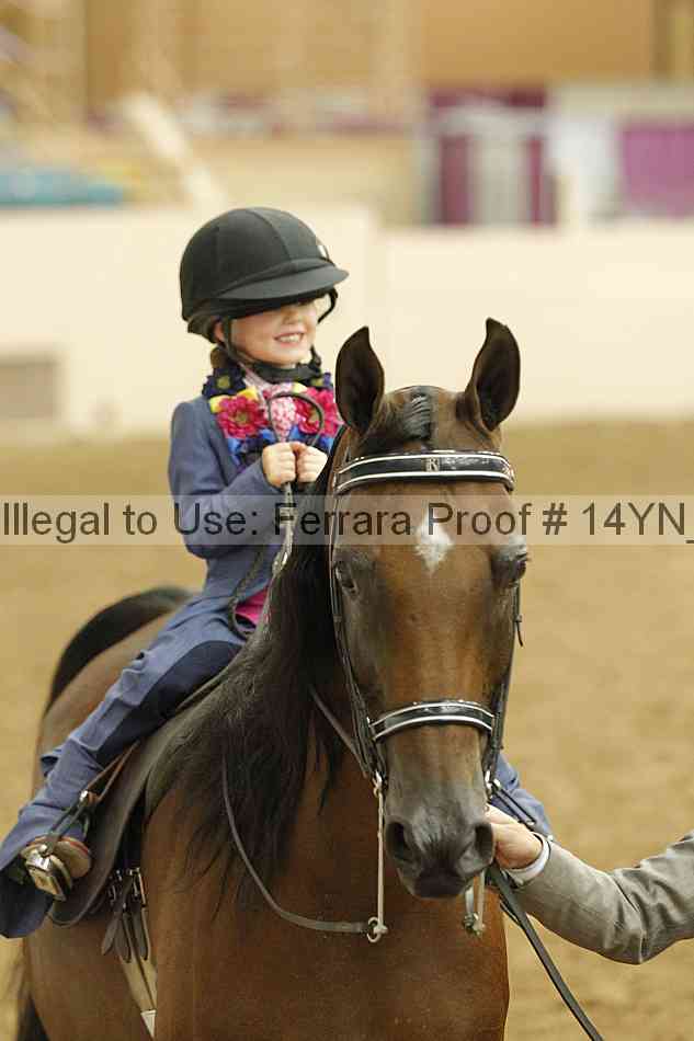 Proof 14yn_20310