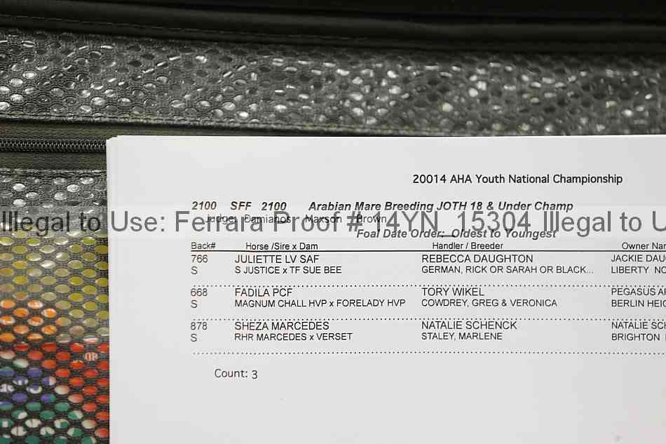 Proof 14yn_15304