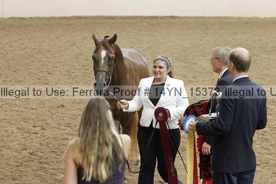 Proof 14yn_15373