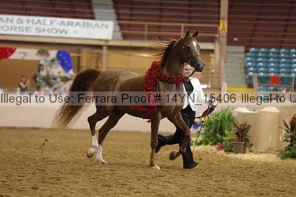Proof 14yn_15406