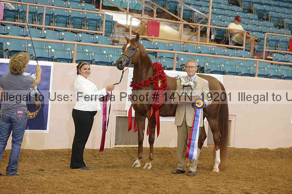 Proof 14yn_19201