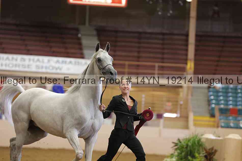 Proof 14yn_19214