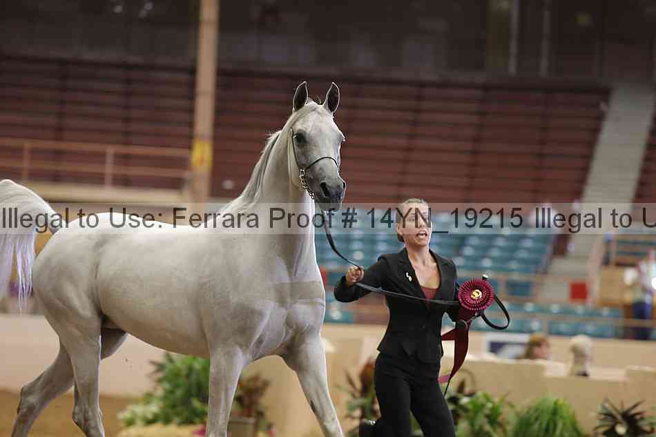 Proof 14yn_19215