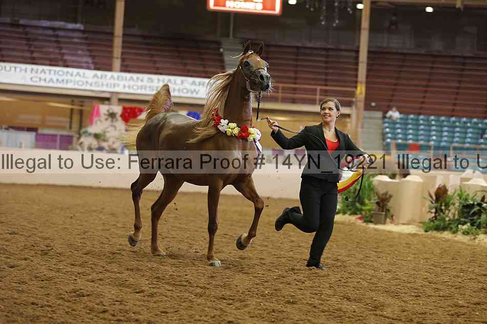 Proof 14yn_19221