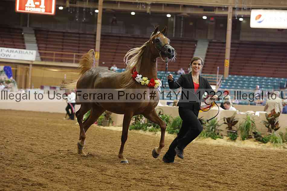 Proof 14yn_19222