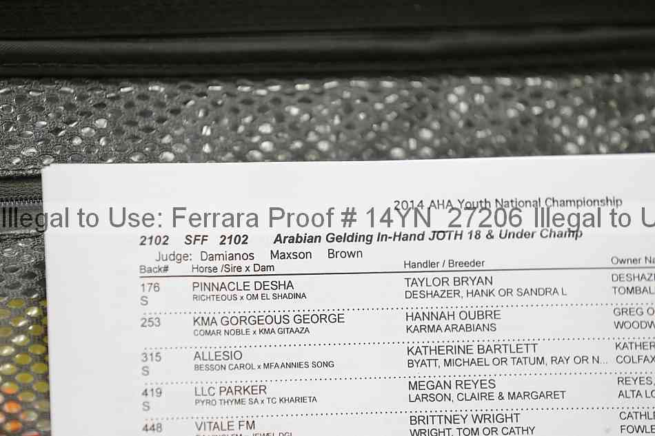 Proof 14yn_27206