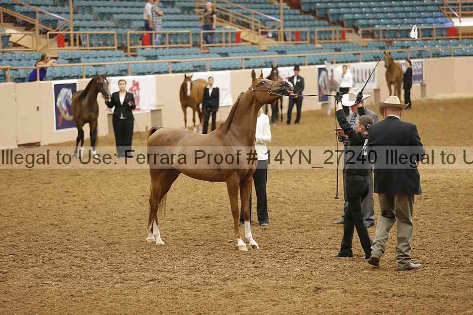Proof 14yn_27240