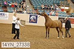 14yn_27338 proof