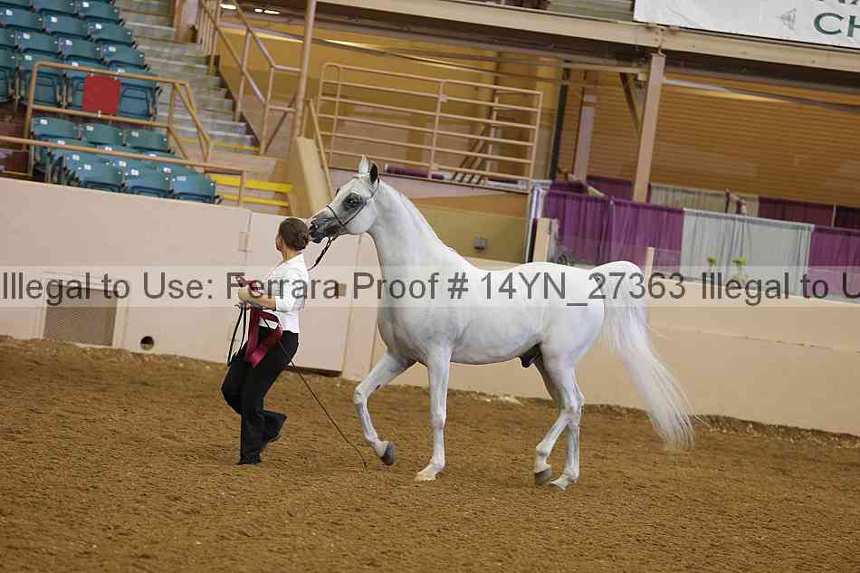 Proof 14yn_27363