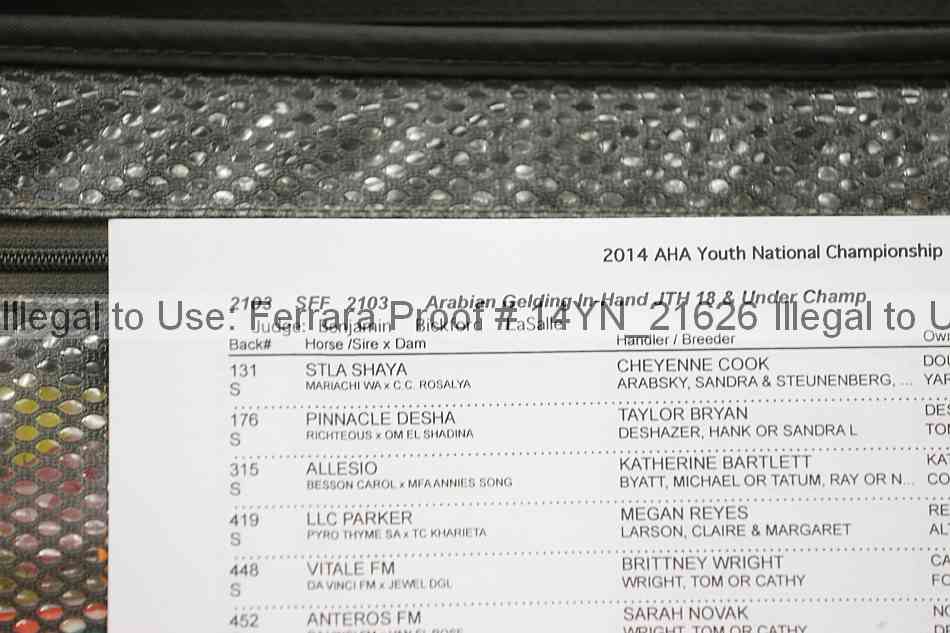 Proof 14yn_21626