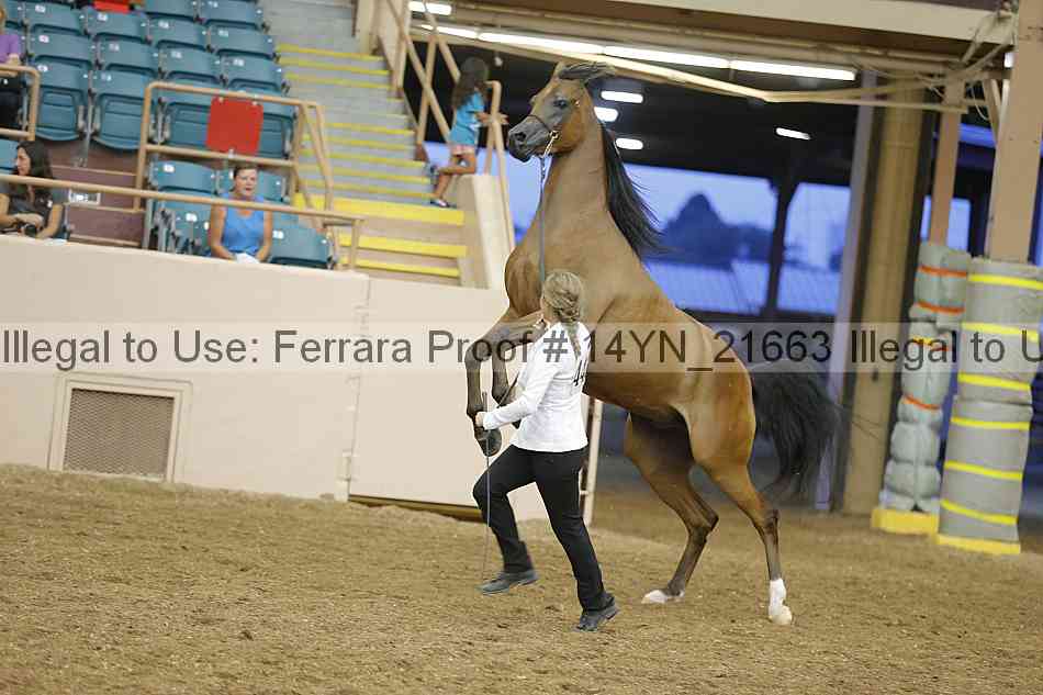 Proof 14yn_21663