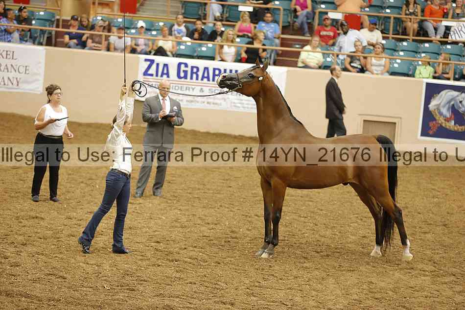 Proof 14yn_21676