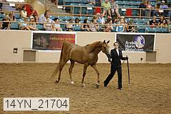 14yn_21704 proof