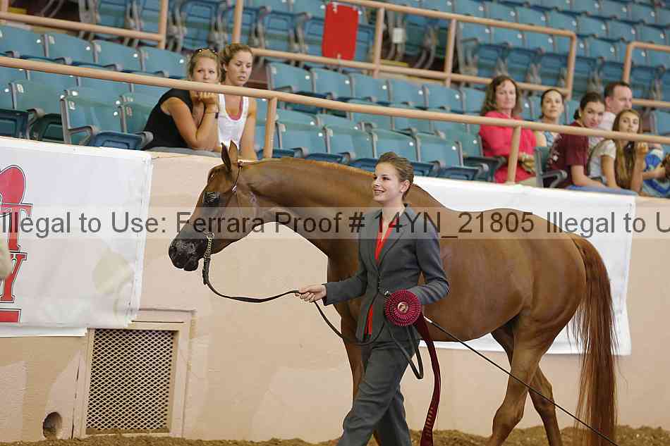 Proof 14yn_21805