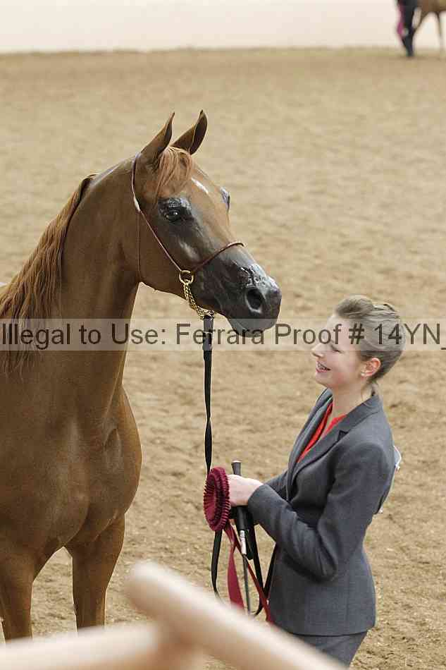 Proof 14yn_21806