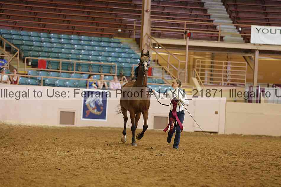 Proof 14yn_21871