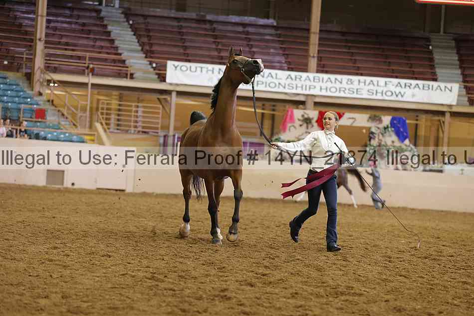 Proof 14yn_21874