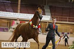 14yn_21878 proof
