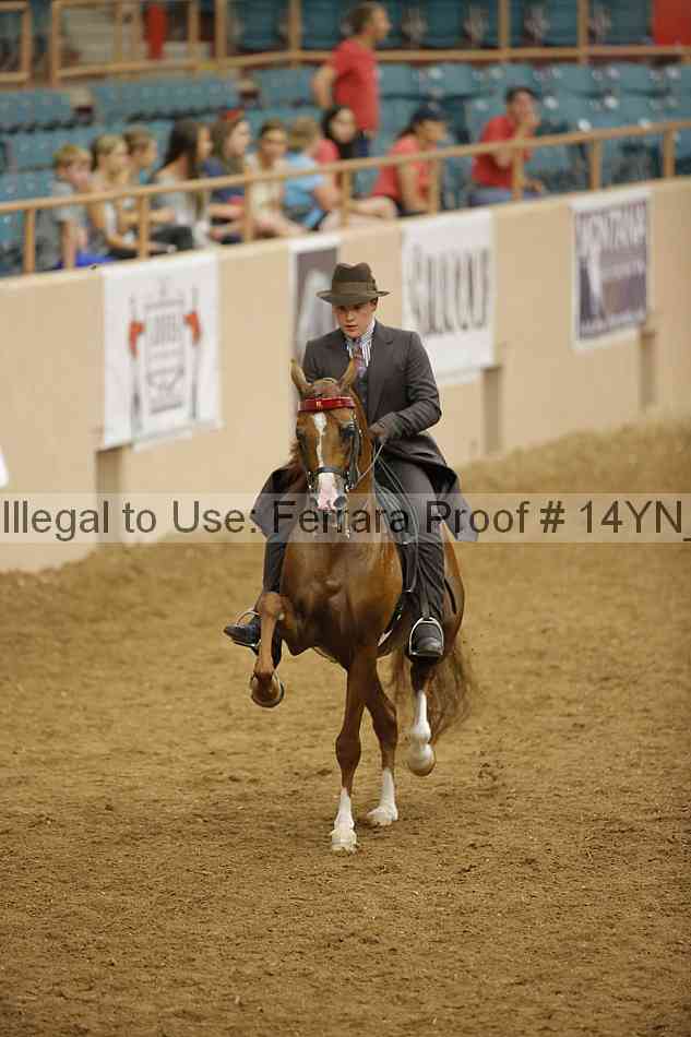 Proof 14yn_21458