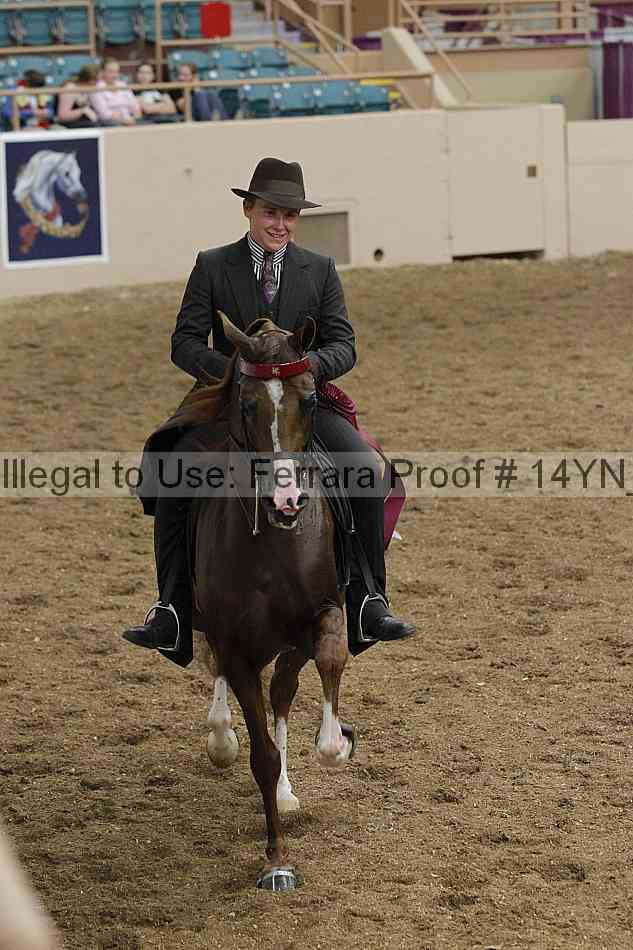 Proof 14yn_21535