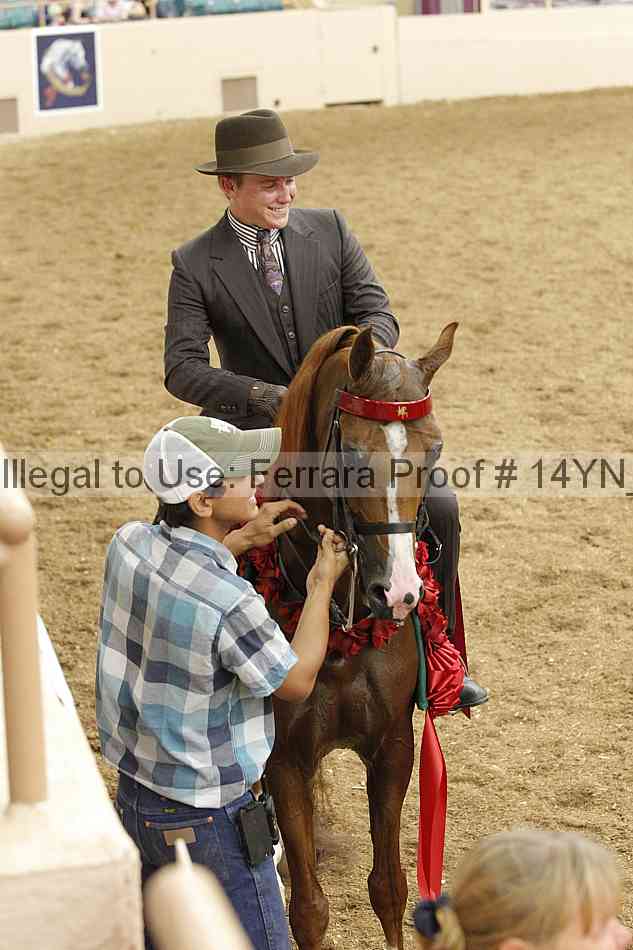Proof 14yn_21546