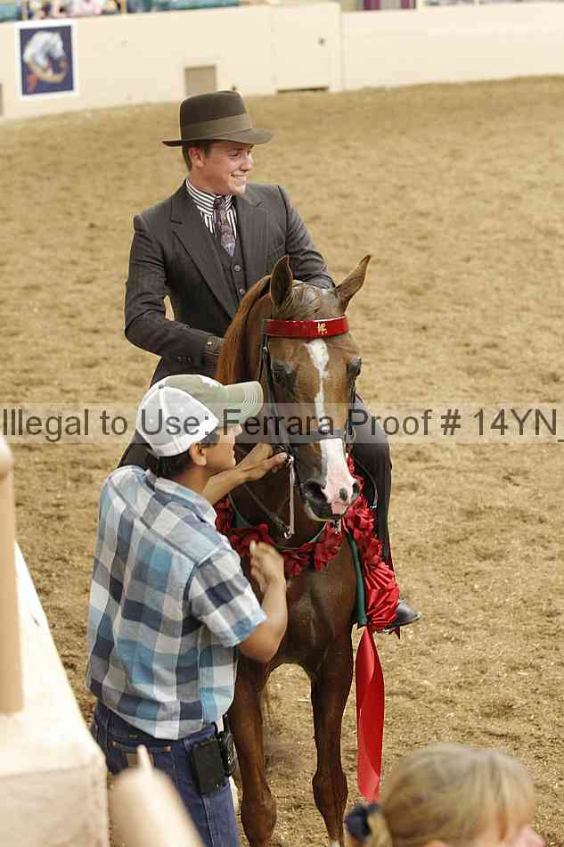 Proof 14yn_21547