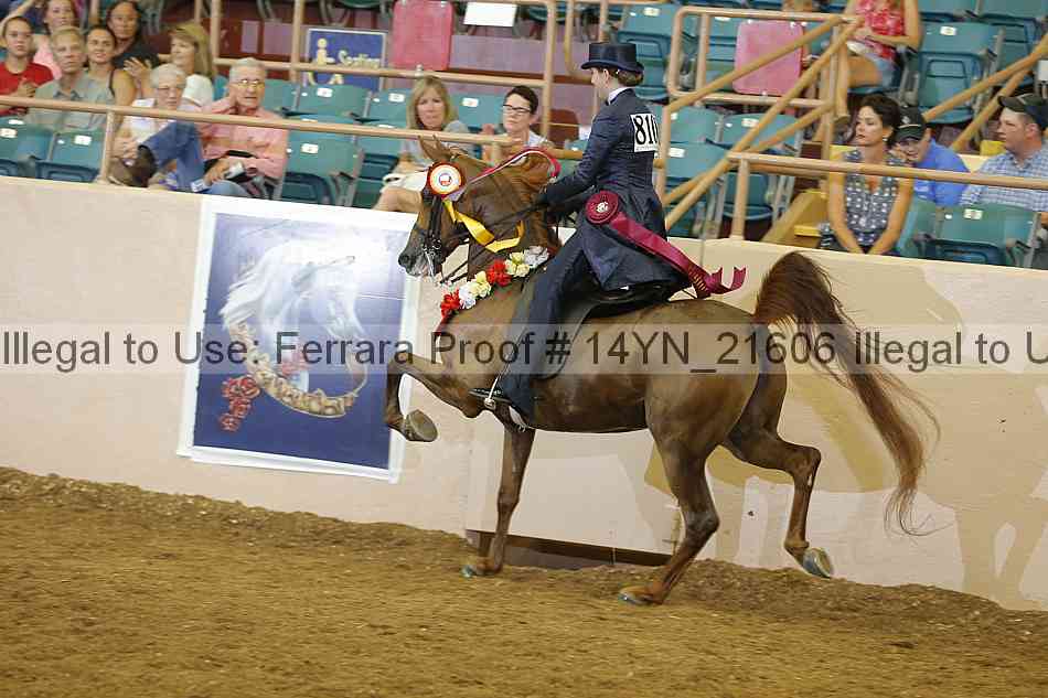 Proof 14yn_21606