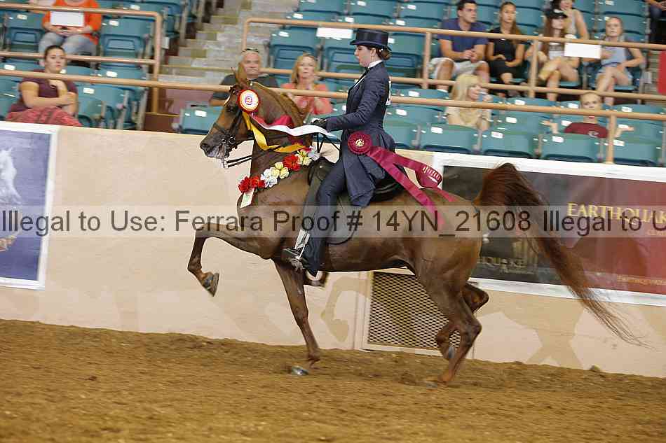 Proof 14yn_21608