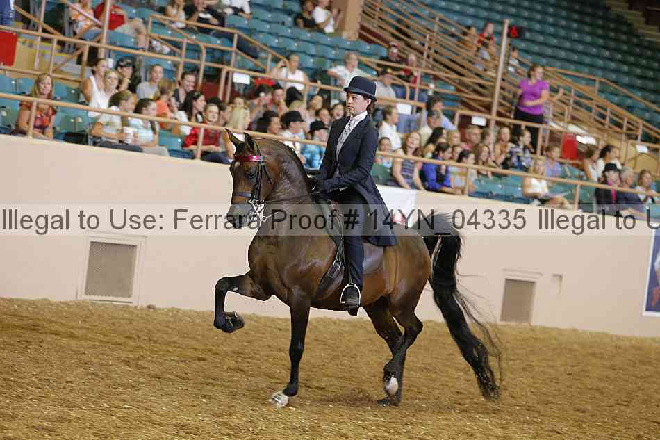 Proof 14yn_04335