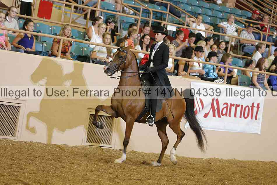 Proof 14yn_04339