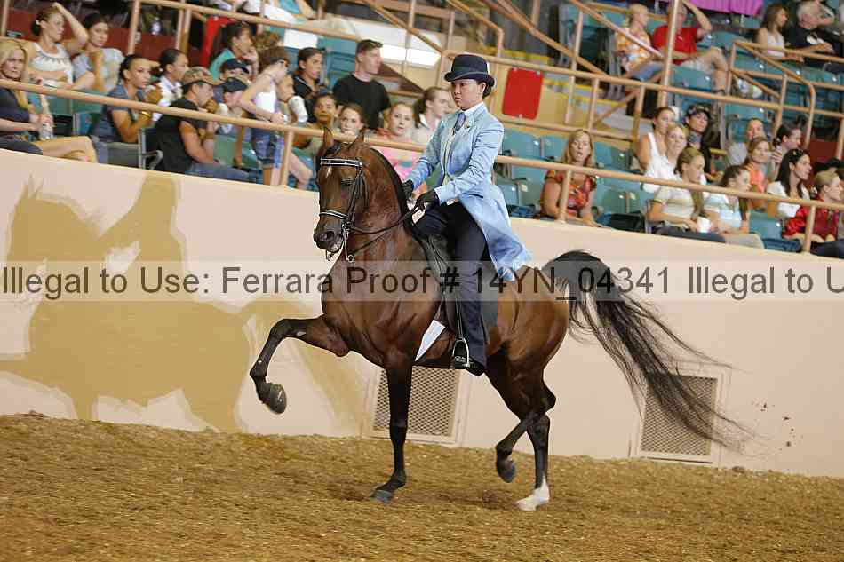 Proof 14yn_04341