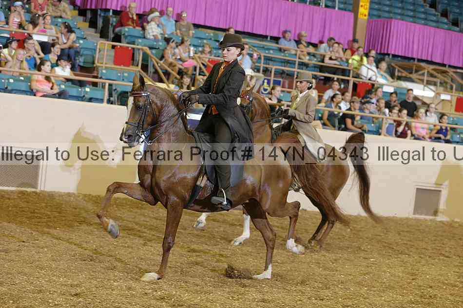 Proof 14yn_04343